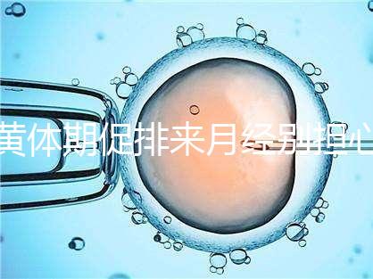 黃體期促排來月經別擔心!過來人經驗告訴你怎么辦