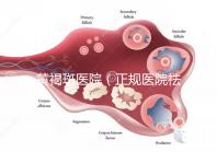 黃褐斑醫院(正規醫院祛斑大概要多少錢)