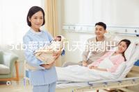 5cb囊胚第幾天能測出看移植成功后續發育怎么樣，不懂戳