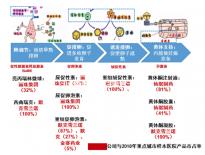 5bc囊胚移植后第六天測兩條杠要注意，第九天沒了不在少數