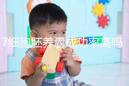 7細(xì)胞胚養(yǎng)囊成功率高嗎?聽(tīng)聽(tīng)做過(guò)試管的姐妹怎么說(shuō)