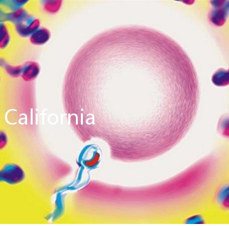 California Cryobank，加州精子銀行實用指南