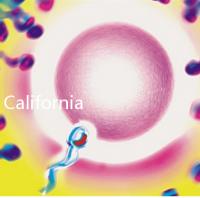 California Cryobank，加州精子銀行實用指南