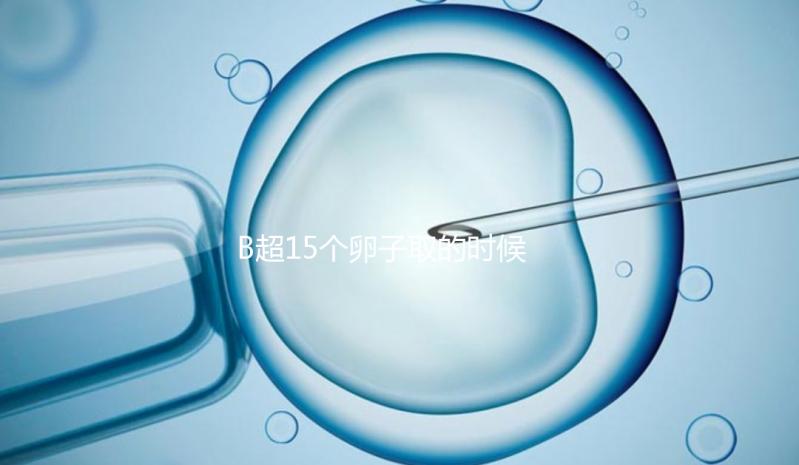 B超15個卵子取的時候只取了8個有原因的卵子，看起來不正常很清楚