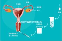 MD醫(yī)療集團:俄羅斯本土已上市的一家母嬰醫(yī)療機構(gòu)