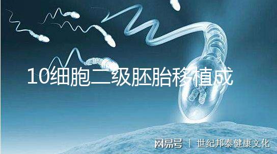 10細胞二級胚胎移植成功率解析，應不應該養囊答案在這