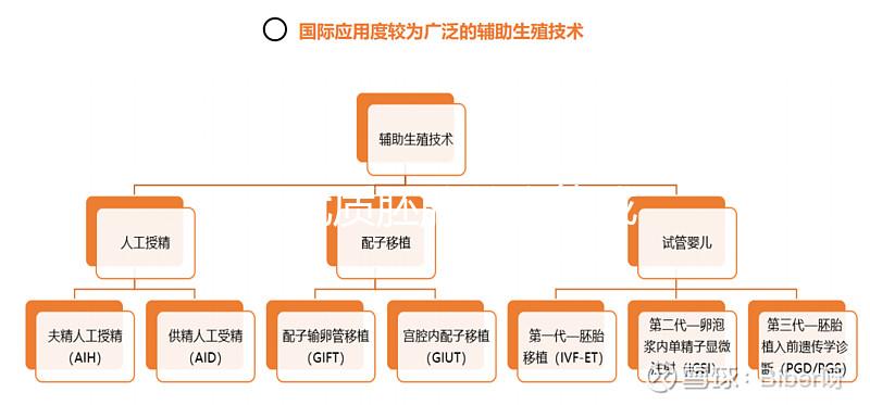 11個優質胚胎養囊能成功多少分人，只有5個可能是...