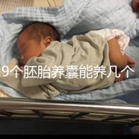 19個胚胎養囊能養幾個真難說，質量好都成功了也屬正常