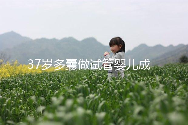 37歲多囊做試管嬰兒成功幾率多高？國內哪里做比較好