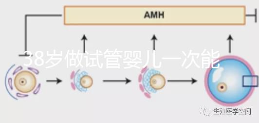 38歲做試管嬰兒一次能成功嗎？提前準備好這4點或許可以