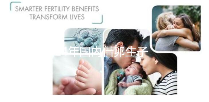 2024年國內借卵生子私立醫院哪里最好？上海集愛排名前三