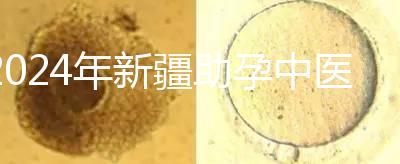 2024年新疆助孕中醫數不勝數，頂尖專家技能水平高