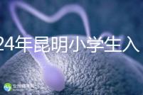 2024年昆明小學(xué)生入學(xué)政策出臺(tái),五華區(qū)年齡限制重點(diǎn)