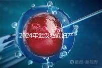 2024年武漢私立婦產(chǎn)醫(yī)院排名前十，江漢區(qū)人流良好