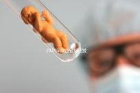 2024年陜西省規定發放獨生子女費,包括咸陽市補貼標準和領取流程