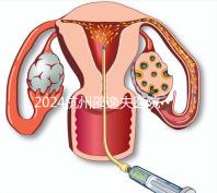 2024杭州邵逸夫醫(yī)院專家門診表,醫(yī)生上班時間一網(wǎng)打盡!
