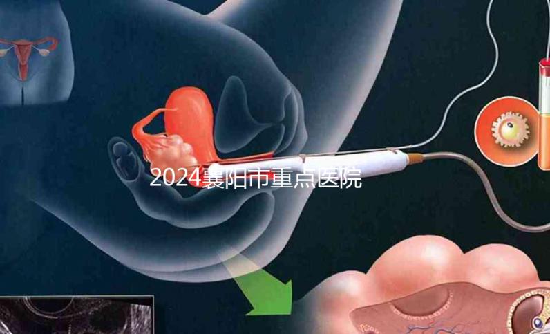 2024襄陽(yáng)市重點(diǎn)醫(yī)院試管嬰兒費(fèi)用明細(xì),各項(xiàng)收費(fèi)標(biāo)準(zhǔn)已列出