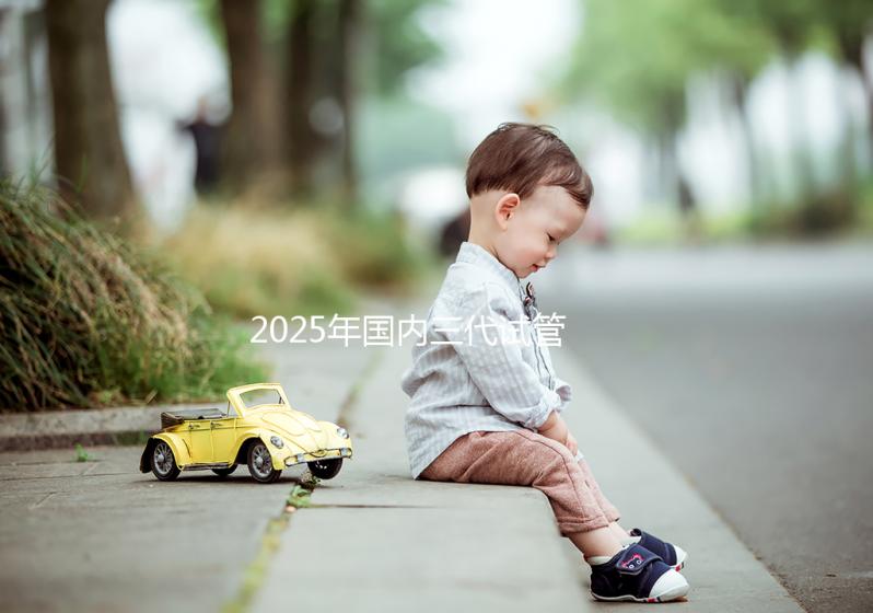 2025年國內三代試管嬰兒花費大公開，價格明細表專業出爐！