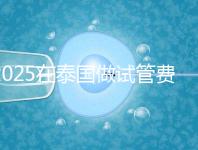 2025在泰國做試管費用預(yù)估,助孕一次不到10萬