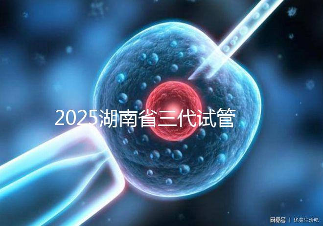 2025湖南省三代試管全部費(fèi)用明細(xì)匯總，備齊這個(gè)金額即可