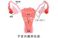 2025昆明三代試管助孕機(jī)構(gòu)收費(fèi)明細(xì),價(jià)格8萬(wàn)至15萬(wàn)不等