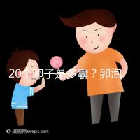 20個卵子是多囊?卵泡多≠多囊卵巢,排卵與否是關鍵