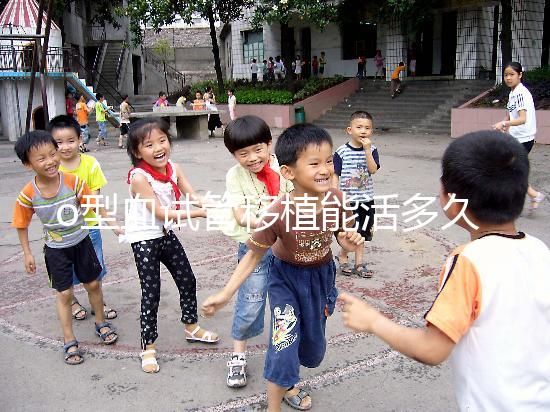 o型血試管移植能活多久?壽命長(zhǎng)的關(guān)鍵在于這些點(diǎn)