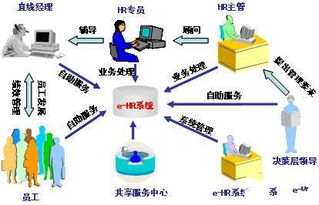 CIO視角 利用EHR優化人力資源管理，賦能企業高效運作與網絡技術服務
